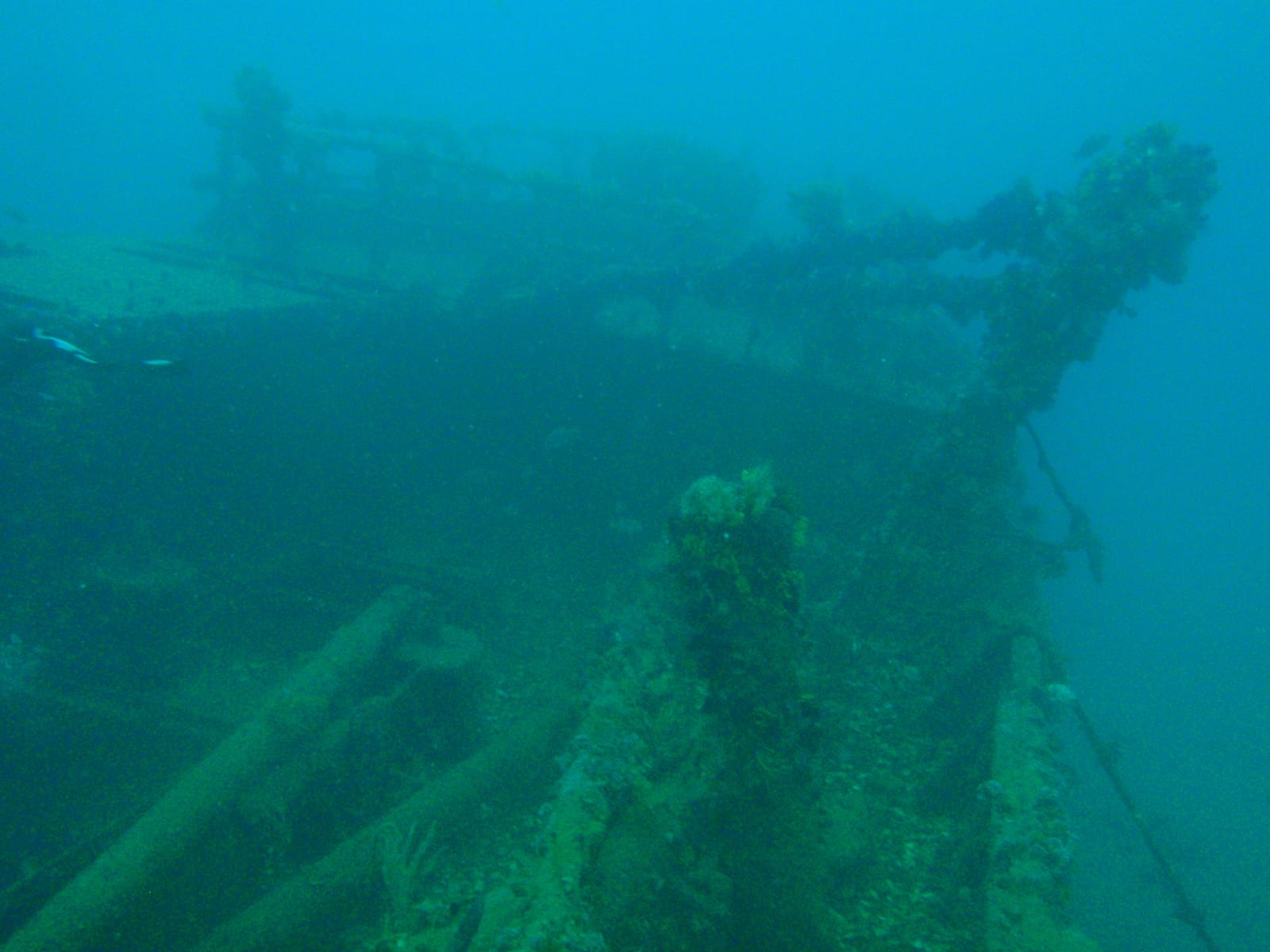 MFV Princess Elizabeth — Wikimedia Commons | License: CC-BY-SA-3.0 | Source: http://commons.wikimedia.org/wiki/Special:FilePath/Forecastle%20of%20the%20wreck%20of%20MFV%20Princess%20Elizabeth%20P3167254.JPG
