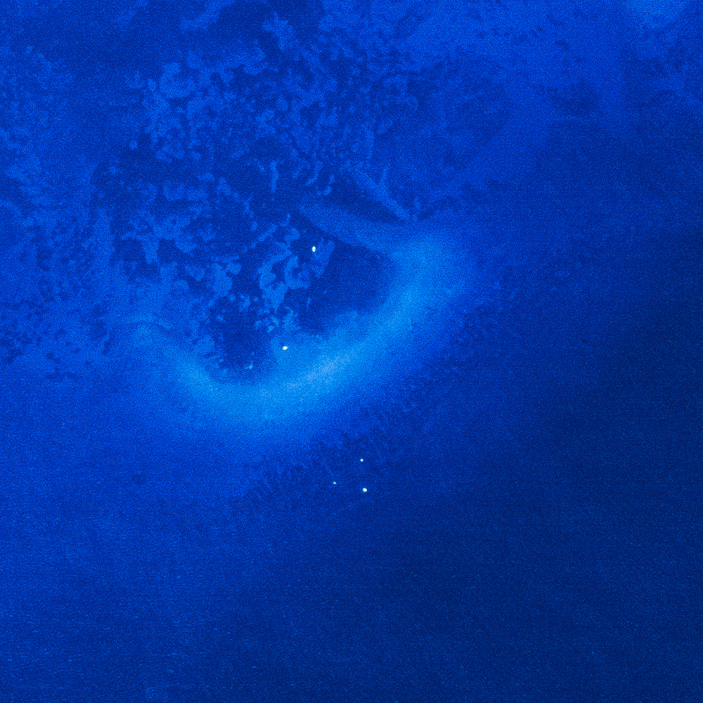 Molasses Reef