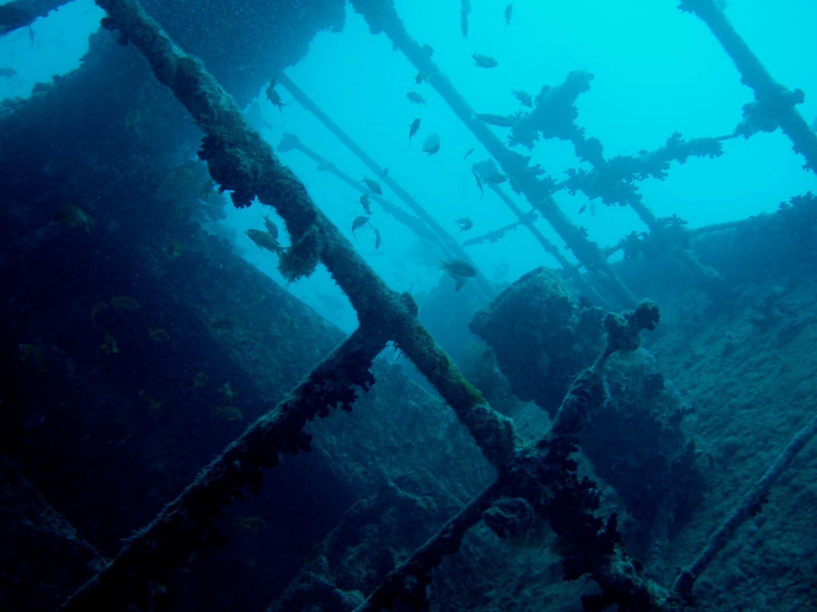 SS Thistlegorm — Wikimedia Commons | License: CC-BY-SA-3.0 | Source: http://commons.wikimedia.org/wiki/Special:FilePath/Aft%20view%20Thistlegorm.jpg