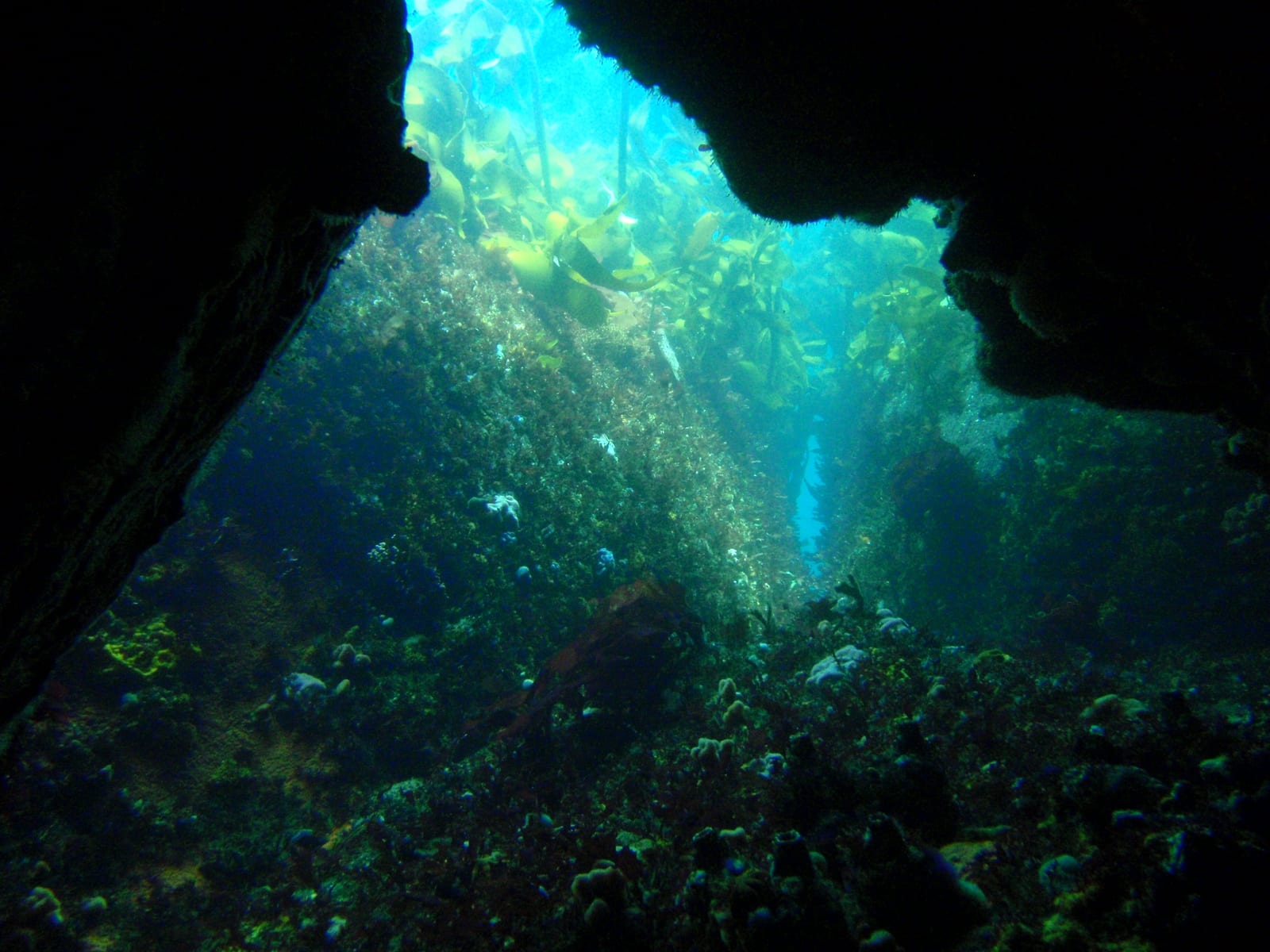 Justins Caves — Wikimedia Commons | License: CC-BY-SA-3.0 | Source: http://commons.wikimedia.org/wiki/Special:FilePath/Swimthrough%20at%20Justins%20caves%20PC167183.JPG