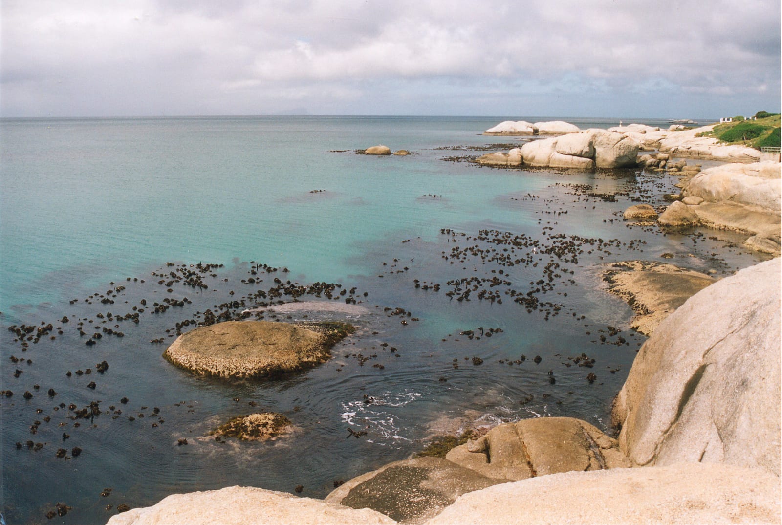 Penguin Point — Wikimedia Commons | License: CC-BY-SA-3.0 | Source: http://commons.wikimedia.org/wiki/Special:FilePath/Dive%20site%20at%20Penguin%20Point%20Boulders.jpg