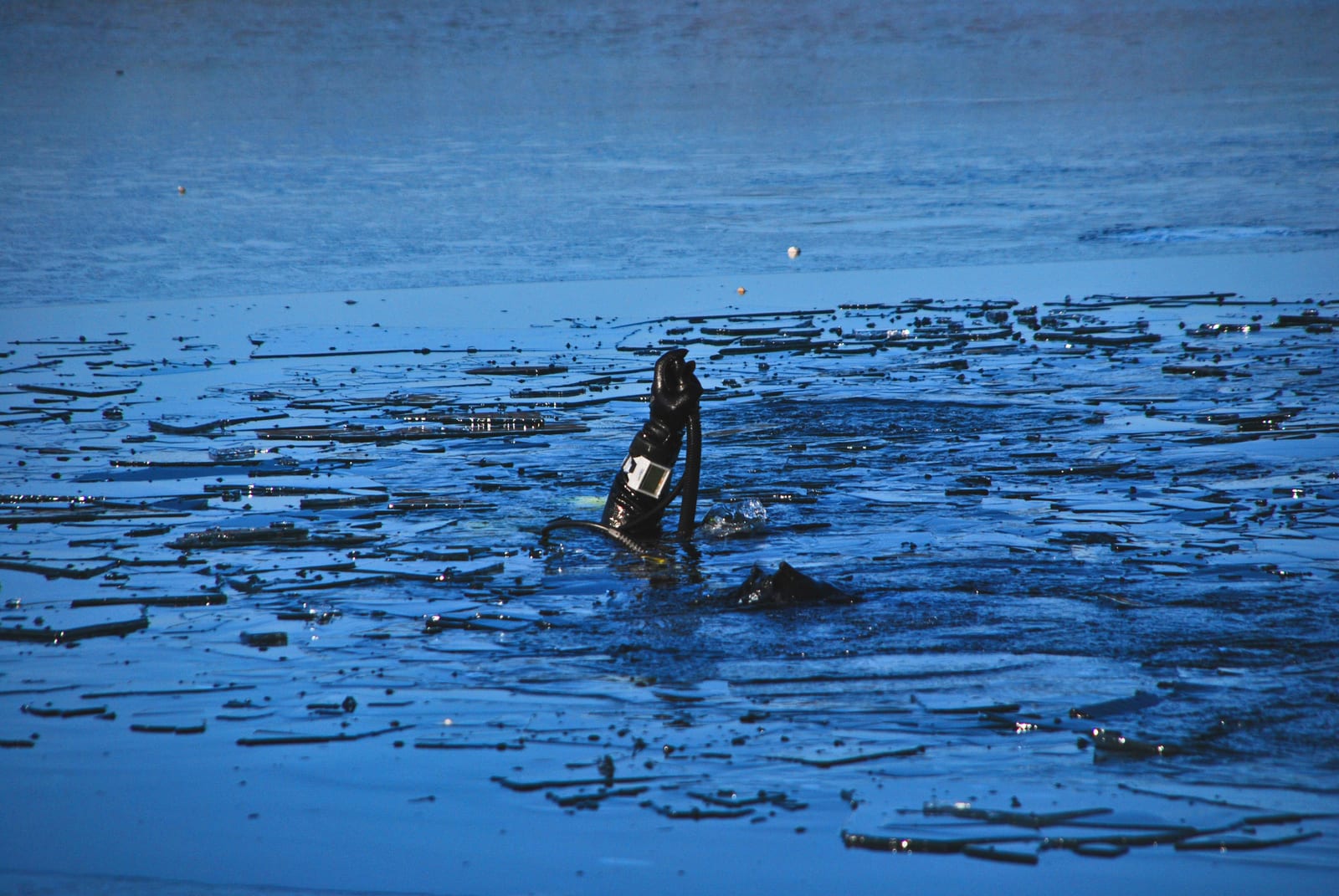The Lake — Photo: Mojpe | License: CC0 | Source: https://upload.wikimedia.org/wikipedia/commons/1/15/Lake_Velenje_scuba_diving_2010_3.jpg