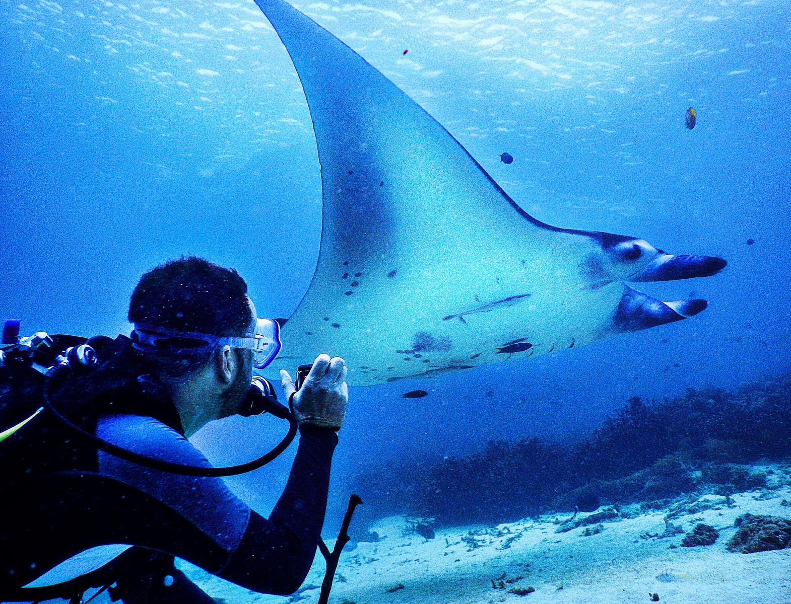 All 4 Diving Indonesia — Photo: peter harris | License: CC0 | Source: https://upload.wikimedia.org/wikipedia/commons/8/8b/Nepal_and_west_Papua_%2832750940048%29.jpg