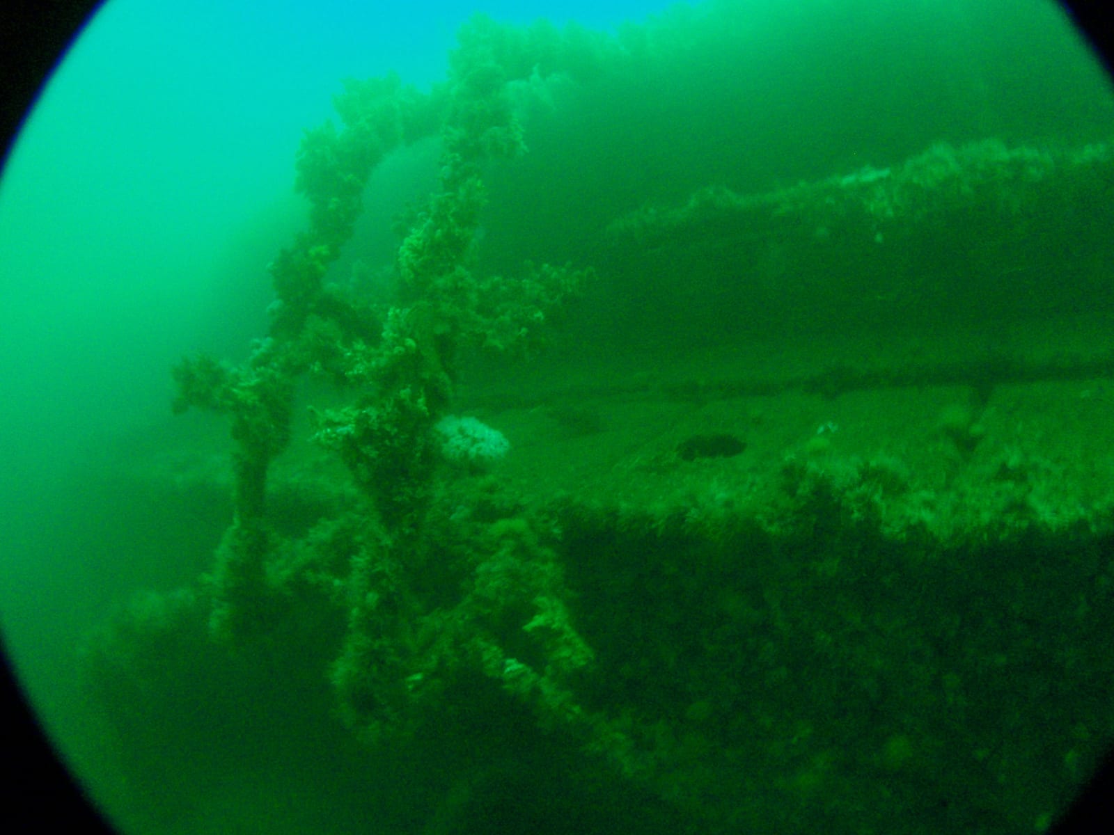 MV Katsu Maru — Wikimedia Commons | License: CC-BY-SA-3.0 | Source: http://commons.wikimedia.org/wiki/Special:FilePath/Port%20side%20of%20superstructure%20of%20Katsu%20Maru%20PC043280.JPG