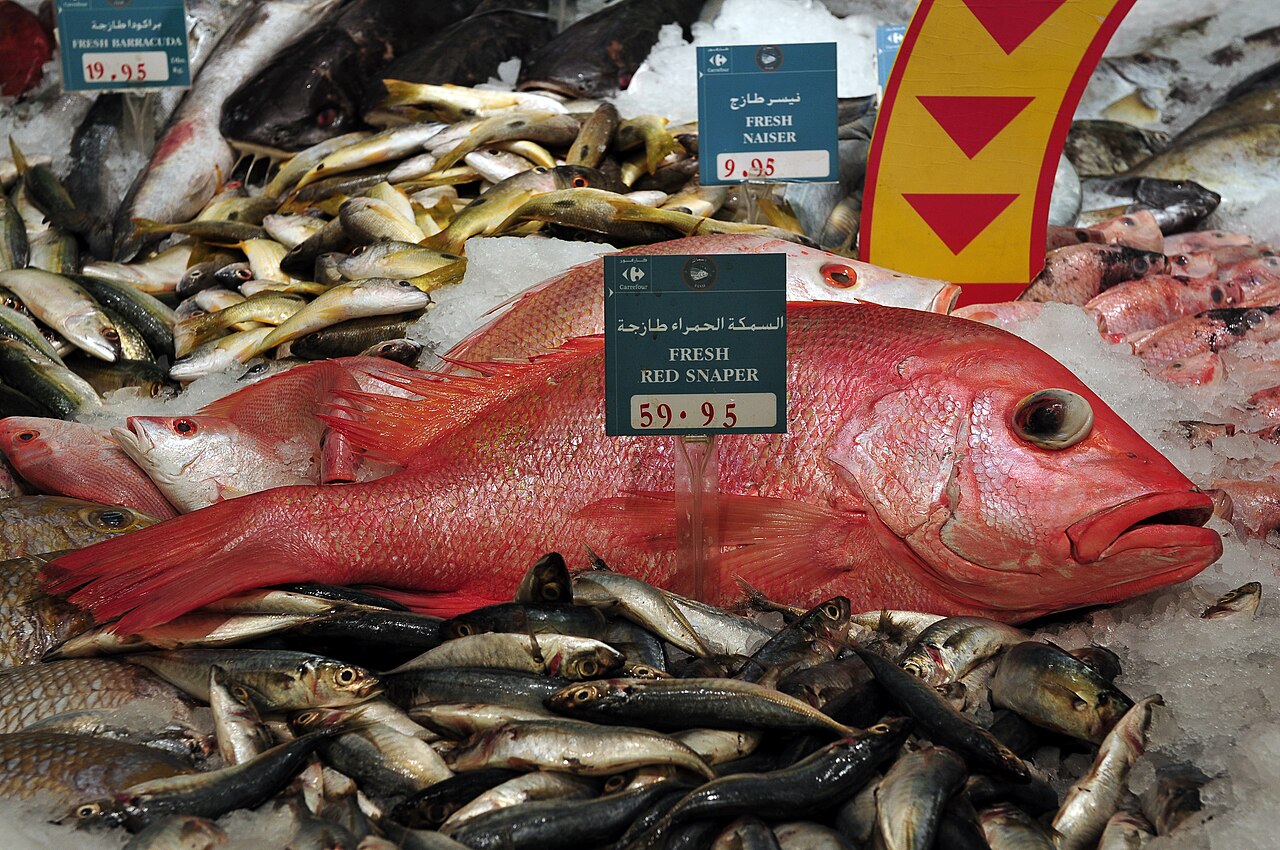 Red snapper